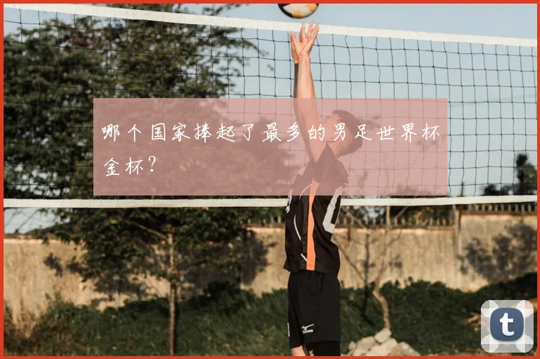 哪个国家捧起了最多的男足世界杯金杯？