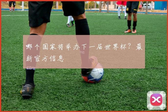 哪个国家将举办下一届世界杯？最新官方信息
