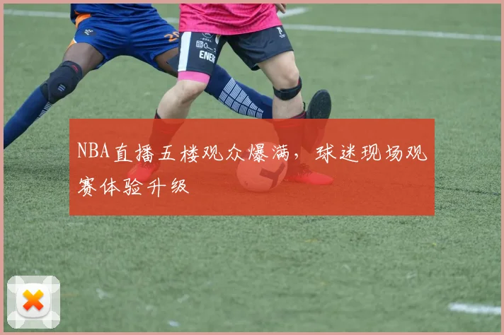 NBA直播五楼观众爆满，球迷现场观赛体验升级
