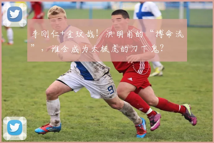 李刚仁+金玟哉！洪明甫的“搏命流”，谁会成为太极虎的刀下鬼？