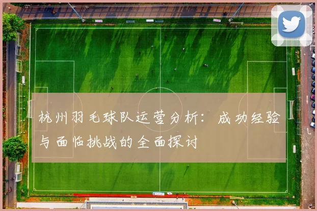 杭州羽毛球队运营分析:成功经验与面临挑战的全面探讨