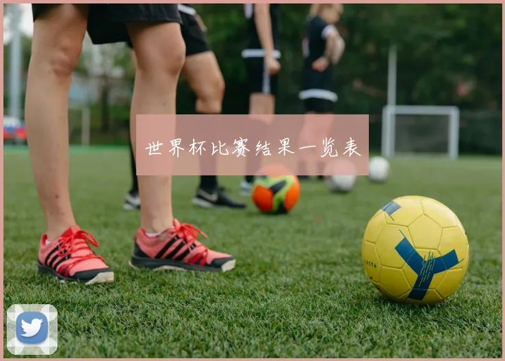 世界杯比赛结果一览表