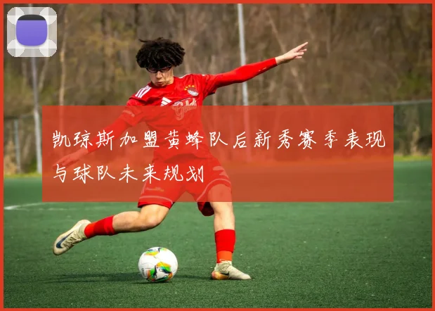 凯琼斯加盟黄蜂队后新秀赛季表现与球队未来规划