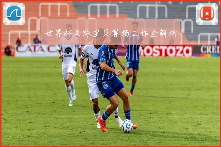 世界杯足球宝贝赛场工作全解析