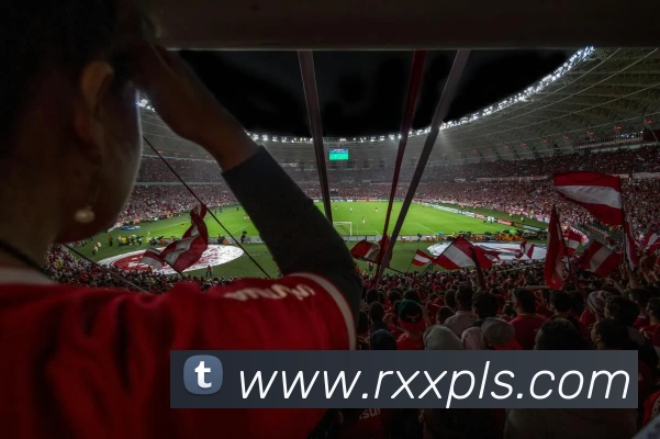 九游体育发展历程